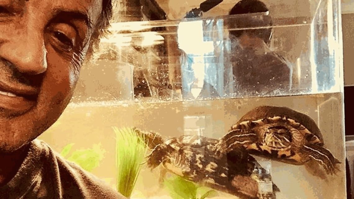 144110172-d7c806c6-072c-4295-8362-2b34e82c70b1